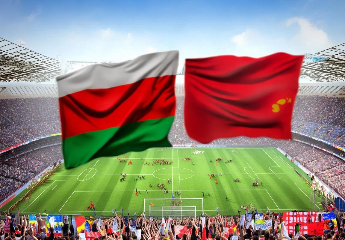 白俄阿尔足球盛宴：巅峰对决，绿茵王者谁主沉浮？(图1)